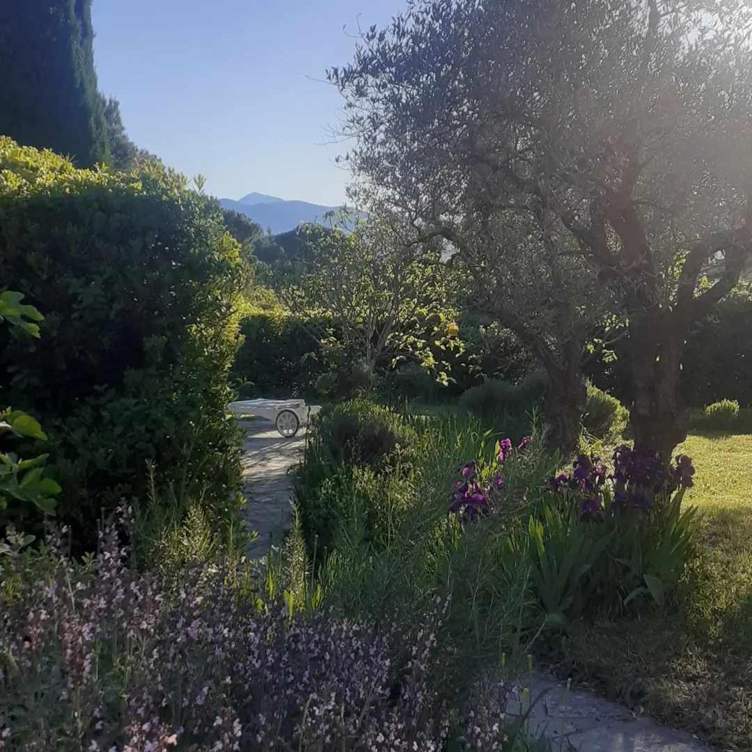 Les Verveines De Vaison Екстериор снимка